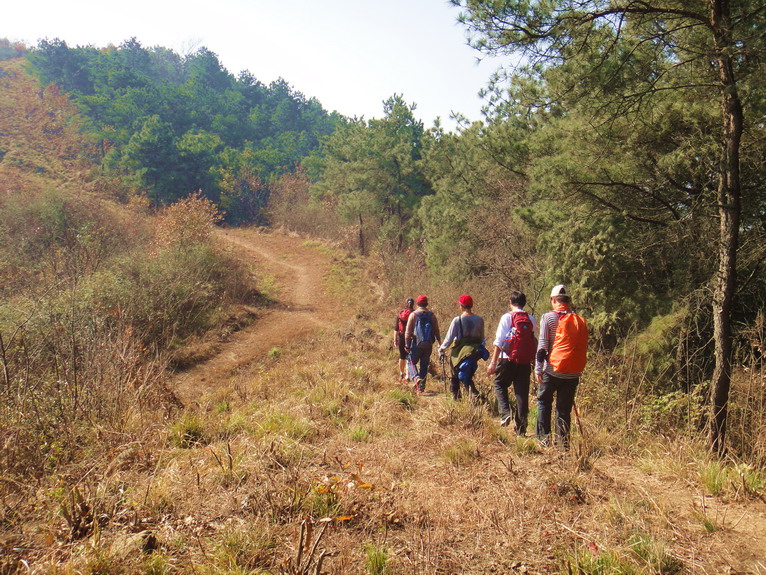 dsc08954.jpg