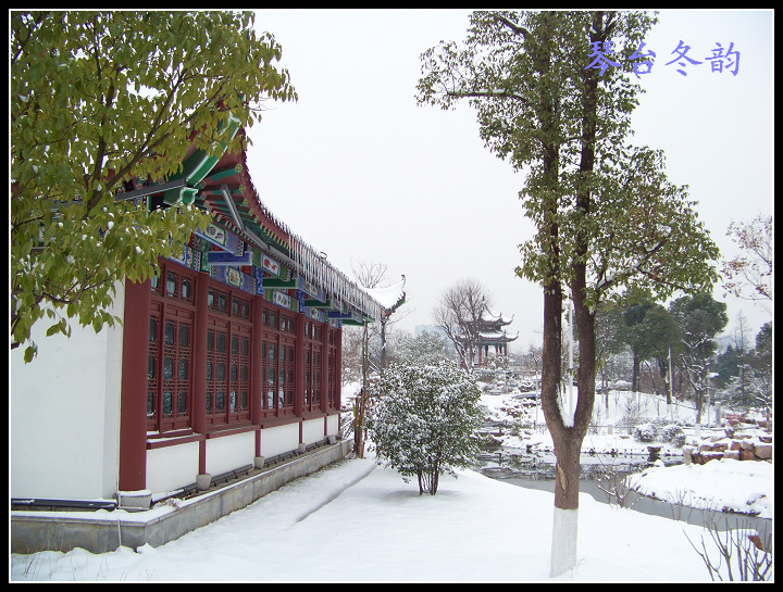 20100106b̨-ƹݶѩ (20).jpg