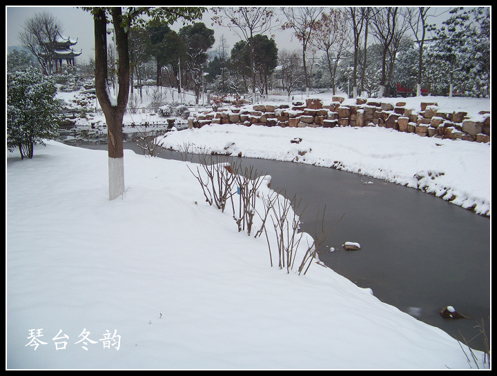 20100106b̨-ƹݶѩ (21).jpg