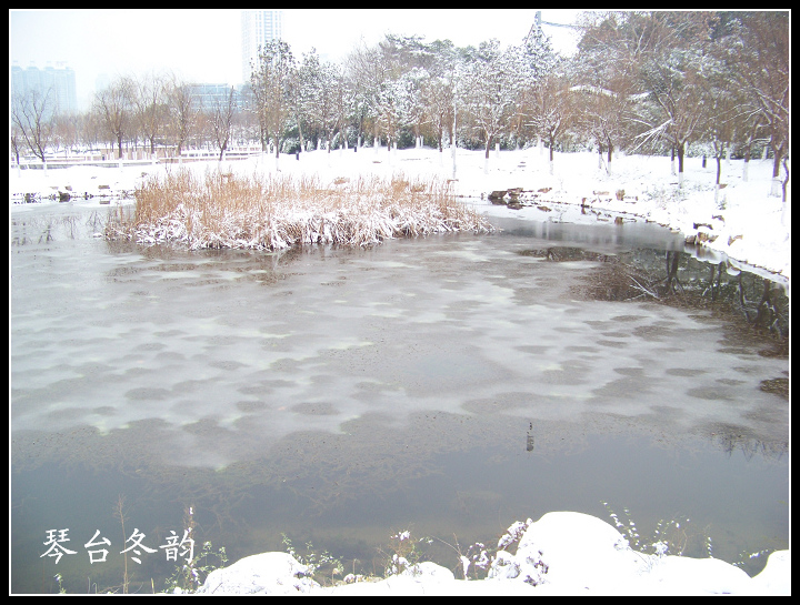 20100106b̨-ƹݶѩ (22).jpg