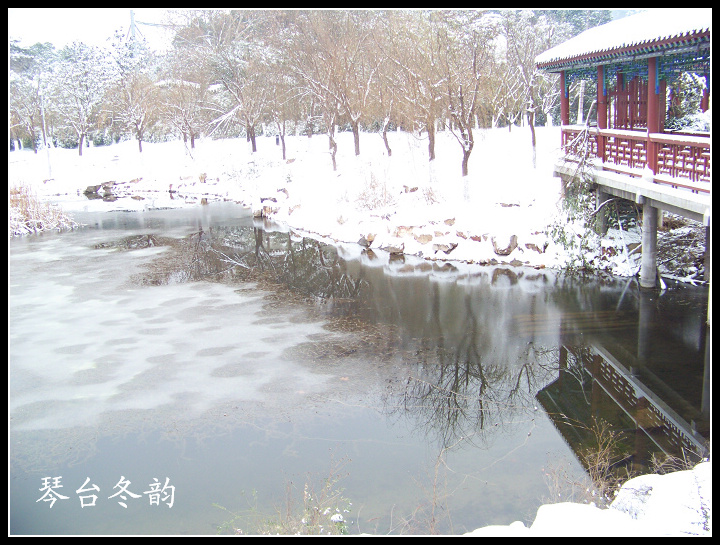 20100106b̨-ƹݶѩ (23).jpg