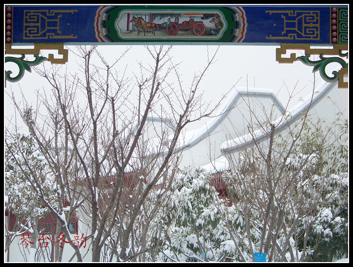 20100106b̨-ƹݶѩ (51).jpg