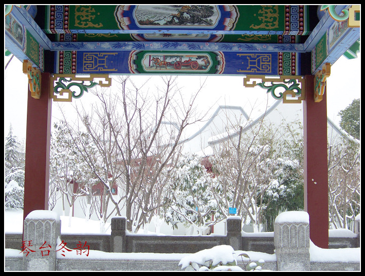 20100106b̨-ƹݶѩ (52).jpg