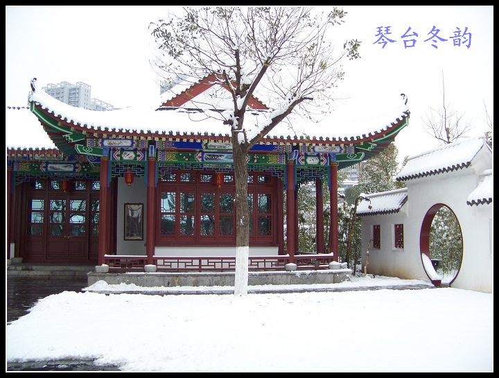 20100106b̨-ƹݶѩ (59).jpg