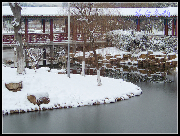 20100106b̨-ƹݶѩ (68).jpg