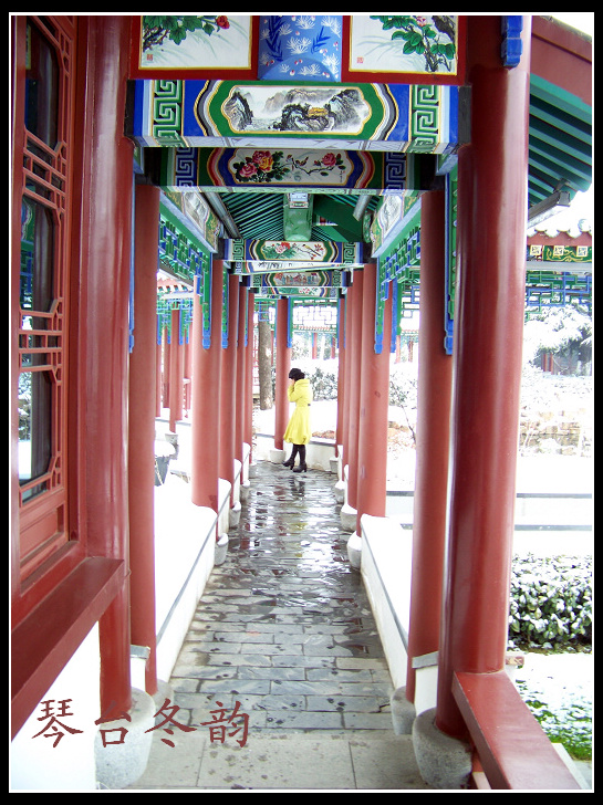 20100106b̨-ƹݶѩ (81).jpg