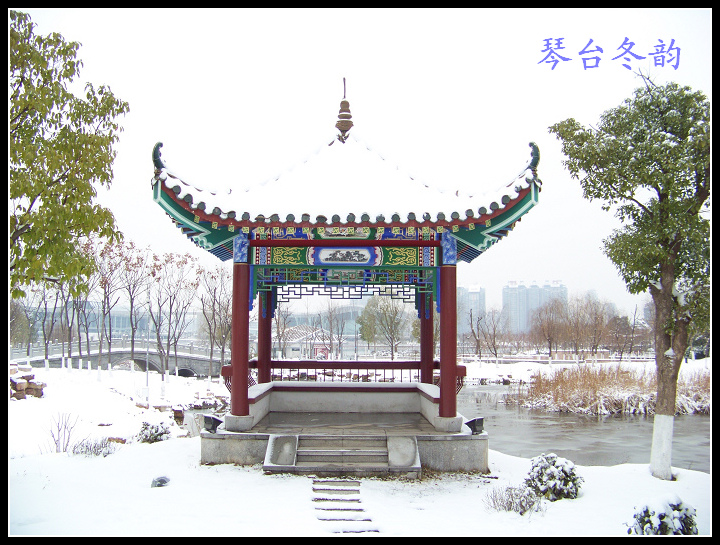 20100106b̨-ƹݶѩ (83).jpg