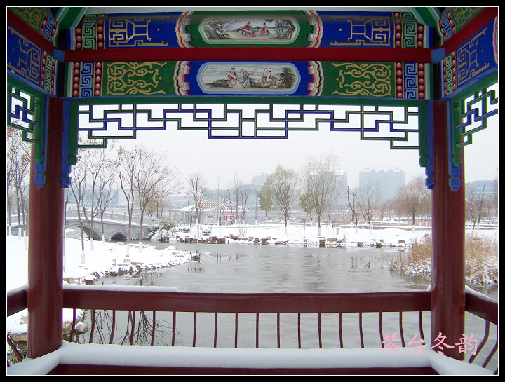 20100106b̨-ƹݶѩ (19).jpg