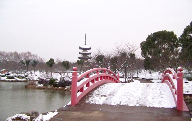 100_6391.jpg