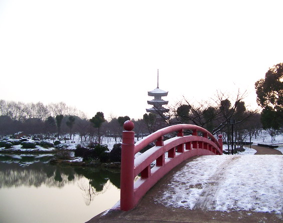100_6507.jpg