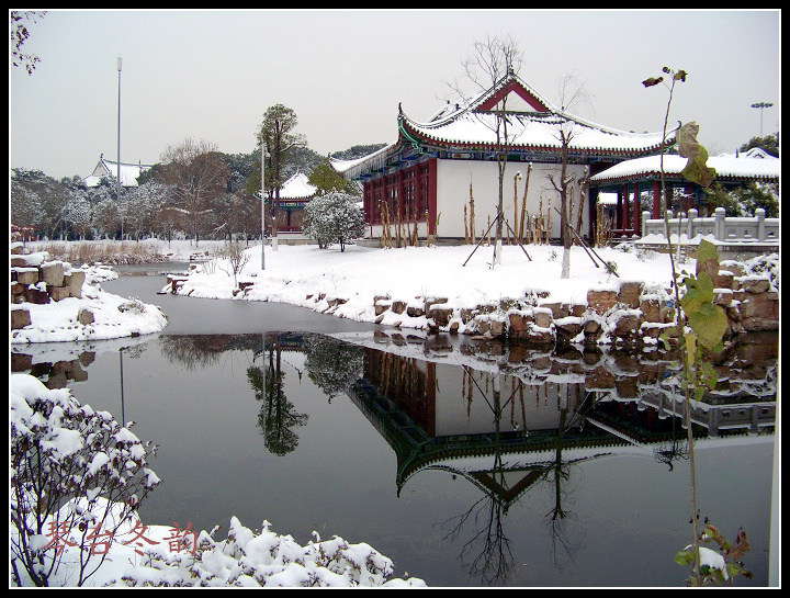 20100106ę԰ֶѩ (36).jpg