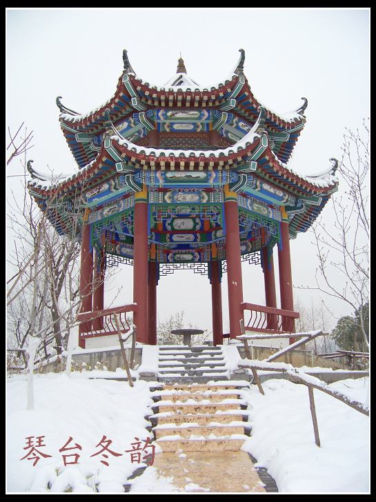 20100106ę԰ֶѩ (41).jpg