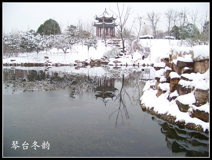 20100106ę԰ֶѩ (50).jpg