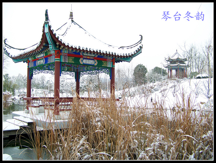 20100106ę԰ֶѩ (52).jpg