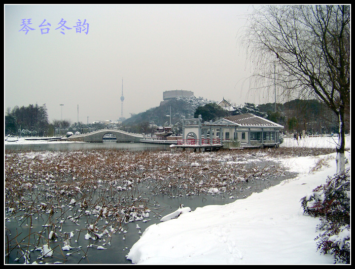 20100106ę԰ֶѩ (61).jpg