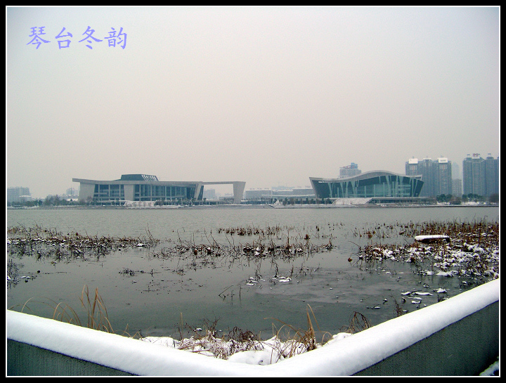 20100106ę԰ֶѩ (62).jpg