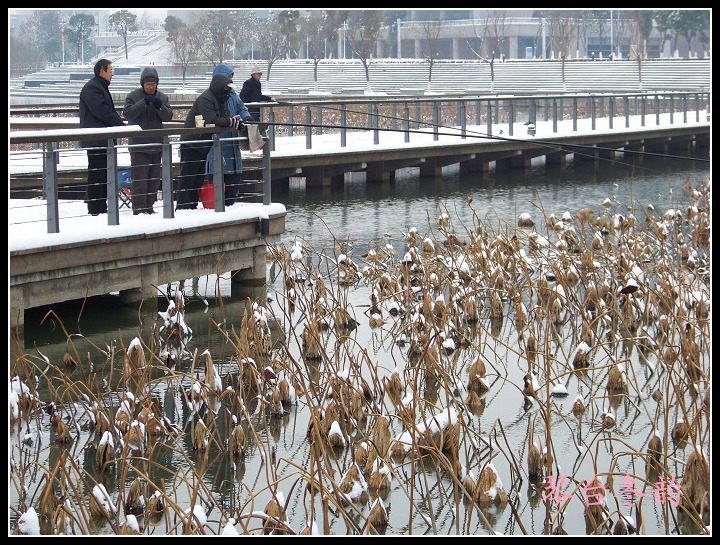 20100106g̨-ɷѩ (31).jpg