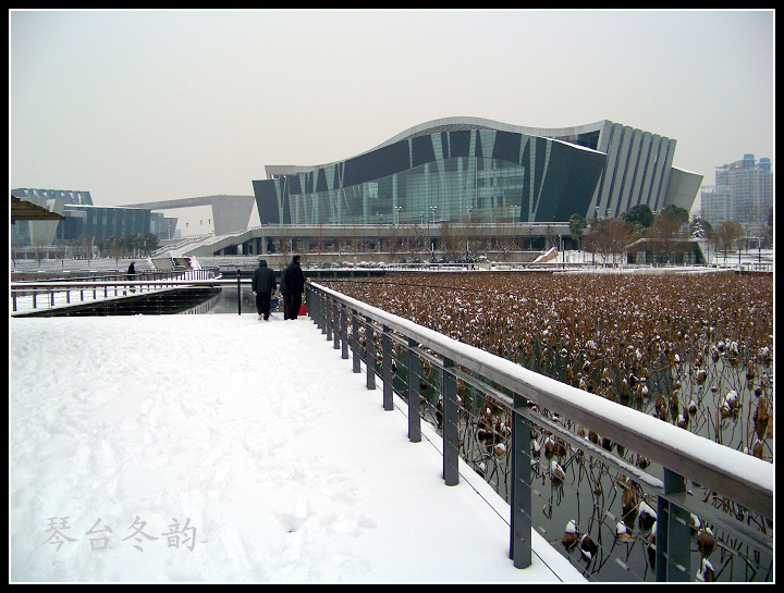 20100106g̨-ɷѩ (36).jpg