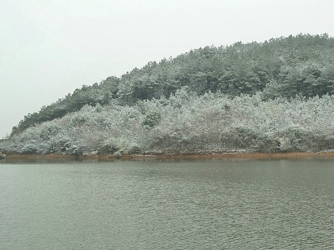 p1020262.jpg