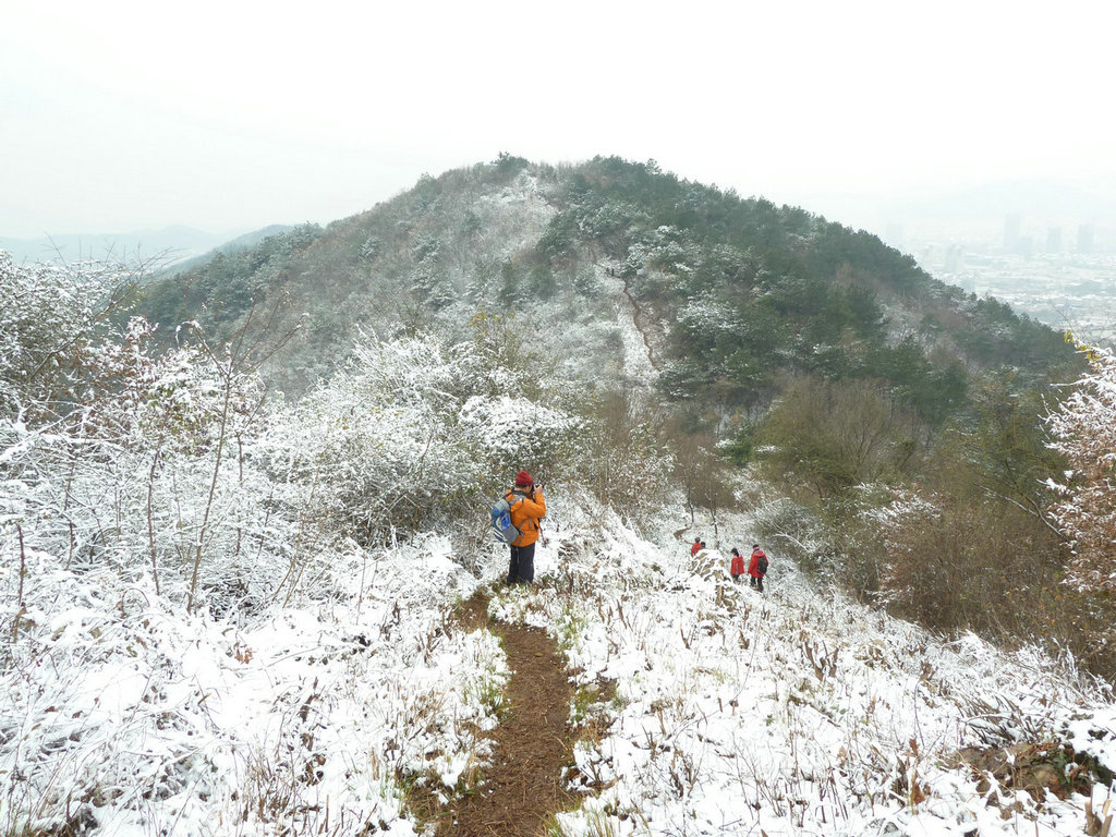 p1020299.jpg
