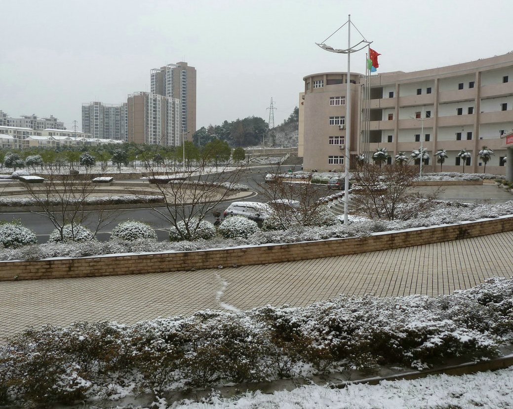 p1020188.jpg