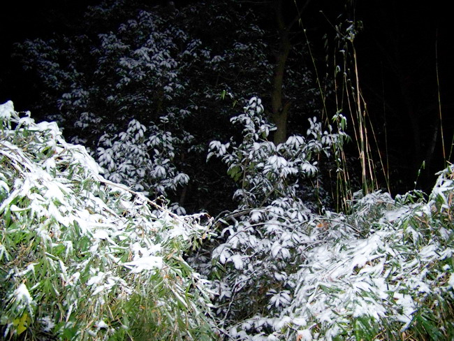100_6480.jpg