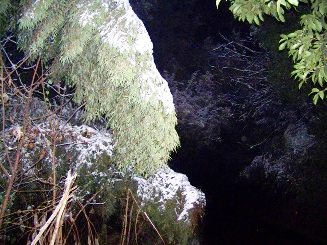 100_6485.jpg