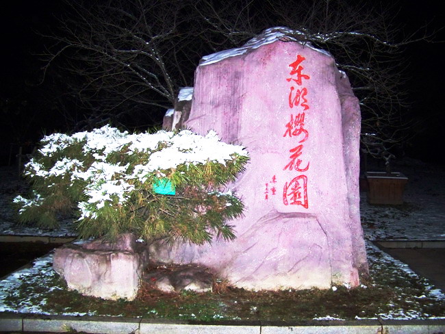 100_6501.jpg