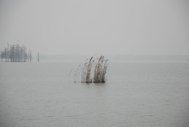 С С dsc_0044.jpg