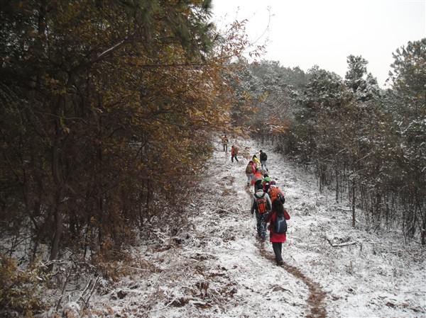 dsc02330_.jpg