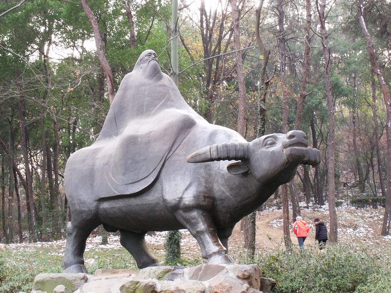 Ƭ 206.jpg