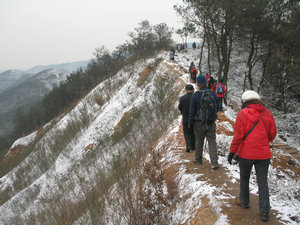 img_0520.jpg