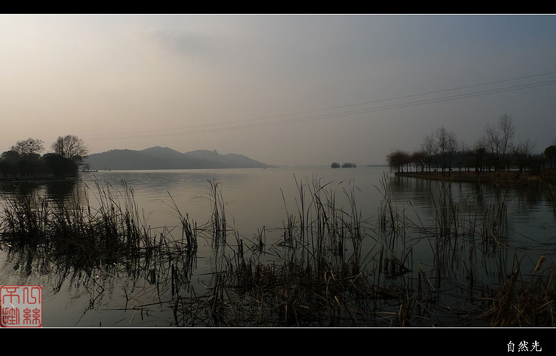 l1190195.jpg