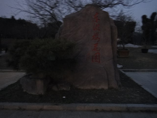 dsc09498.jpg