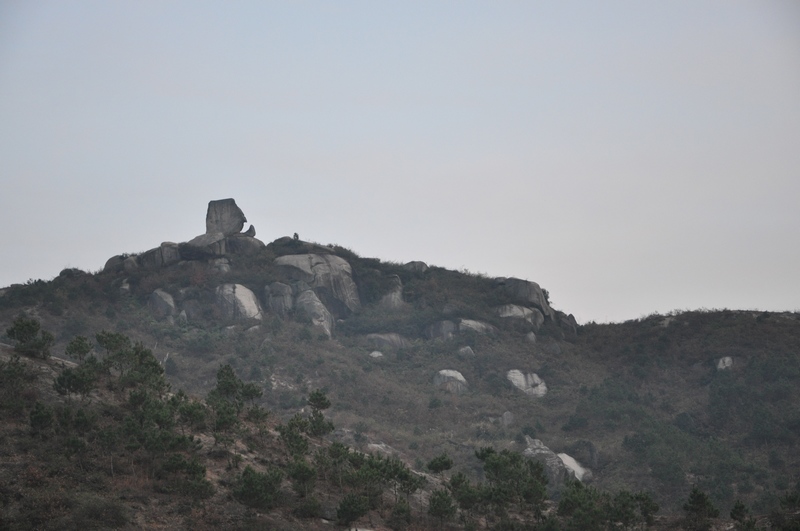dsc_0195.jpg