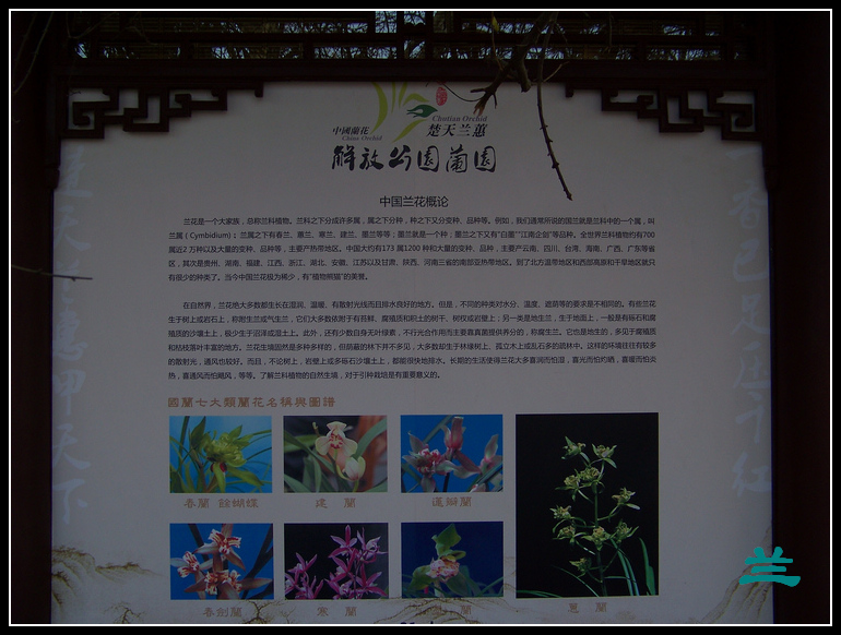 20101231hŹ԰԰ (11).jpg