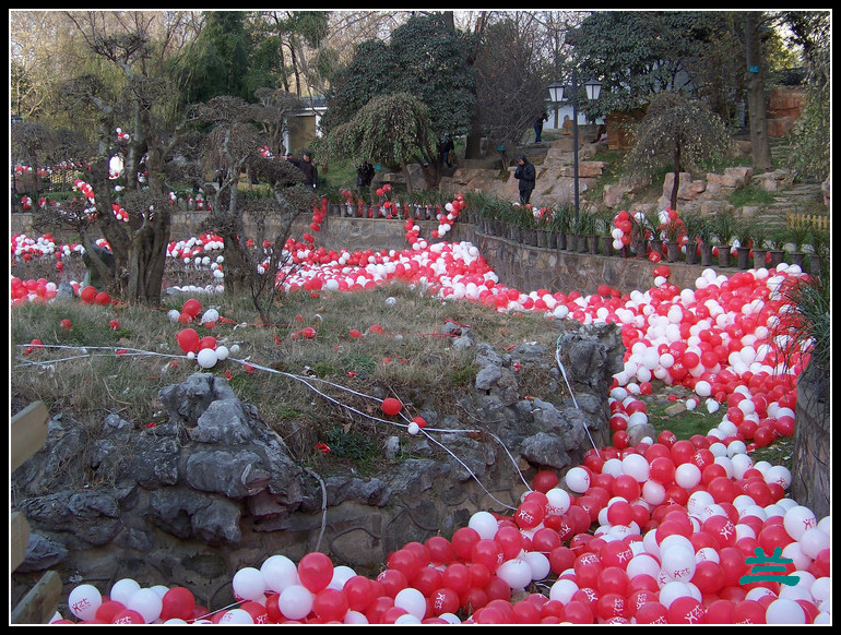 20101231bŹ԰԰ (17).jpg