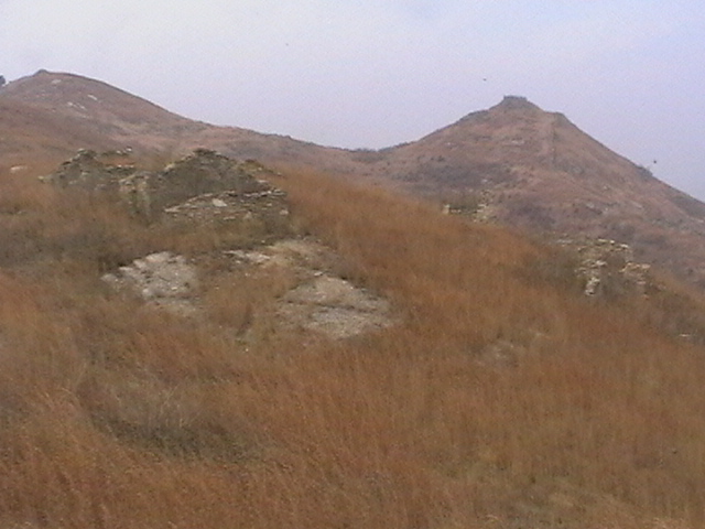 685.jpg