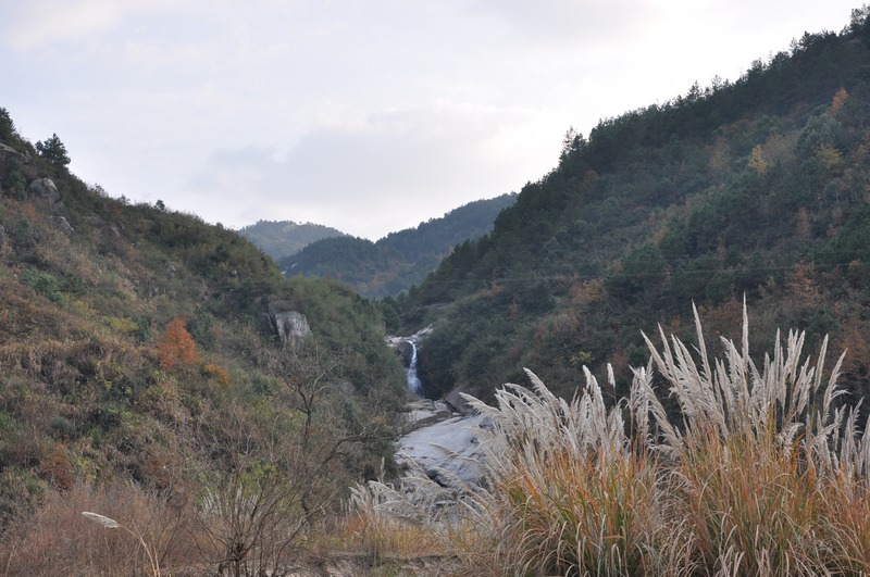 dsc_0130.jpg