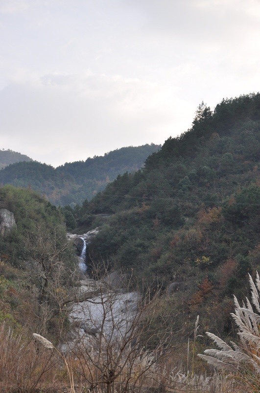 dsc_0129.jpg