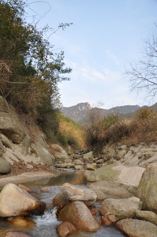 dsc_0127.jpg