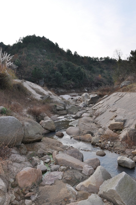 dsc_0126.jpg