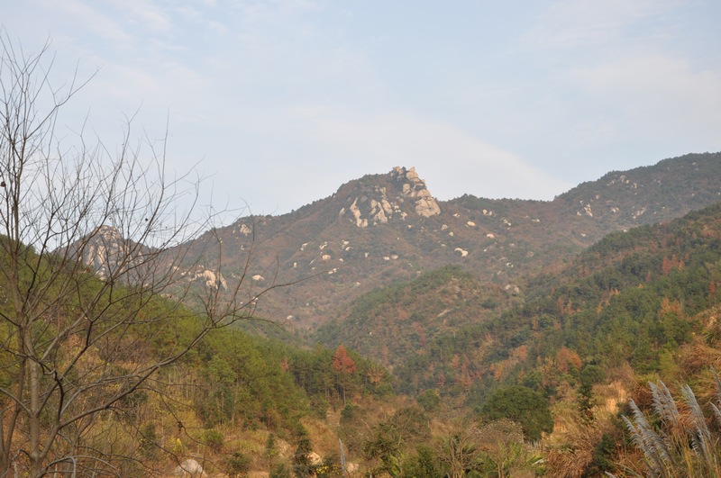 dsc_0124.jpg