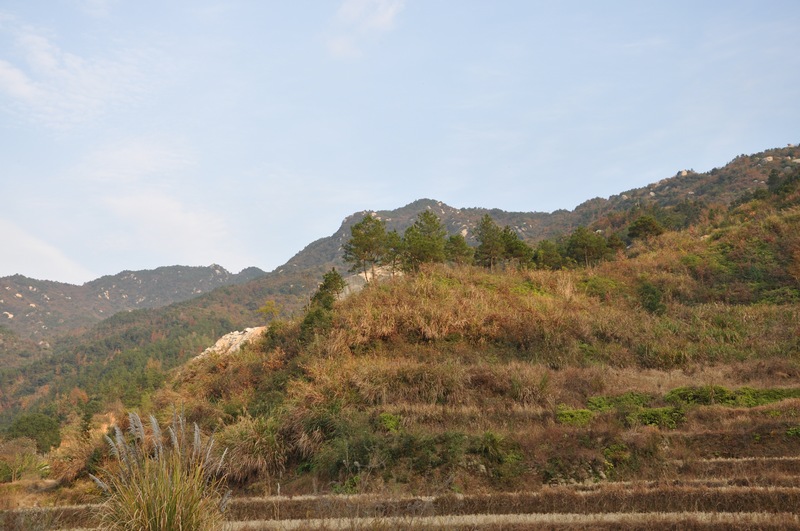 dsc_0123.jpg