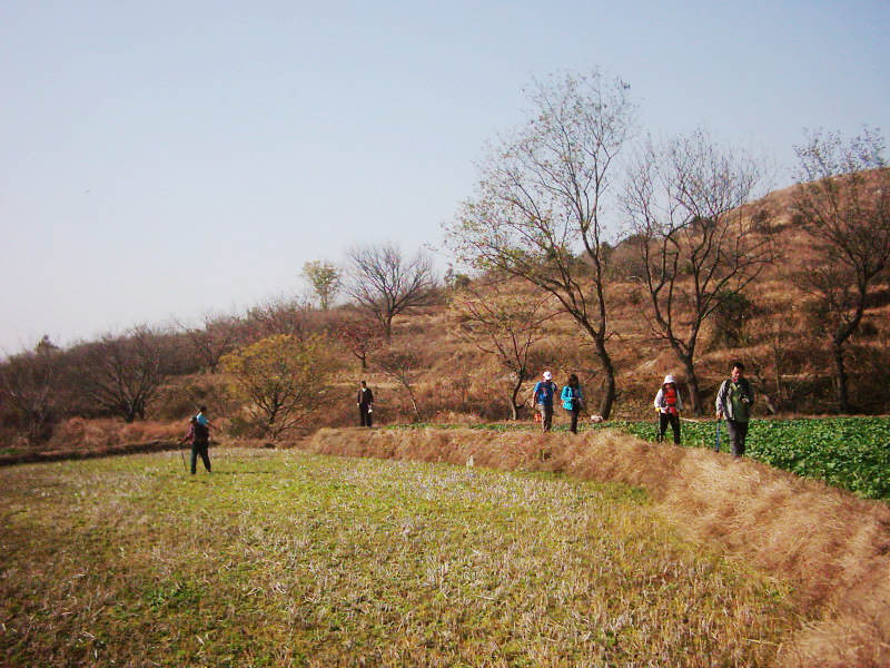 dsci0004.jpg