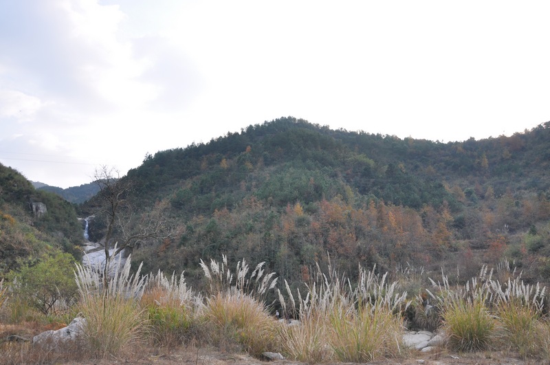 dsc_0120.jpg