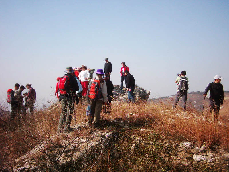 dsci0039.jpg