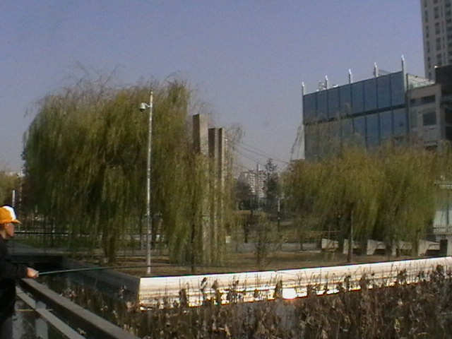 imga0710.jpg