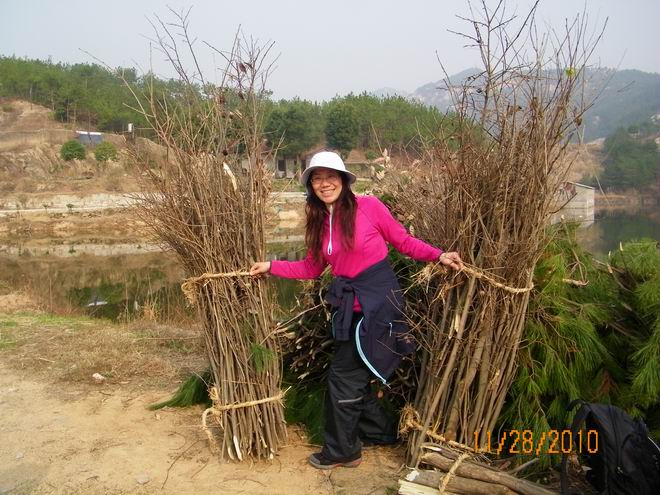 100_0798.jpg