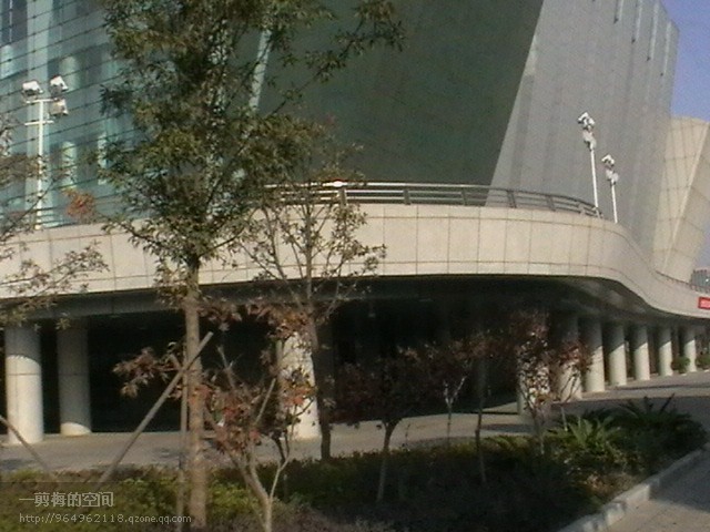 686.jpg